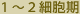 1�`2�זE��