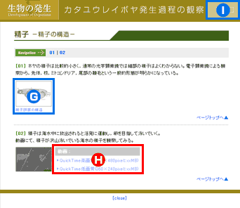 Point�y�[�W