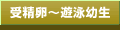 �󐸗��`�V�j�c��