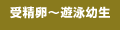 �󐸗��`�V�j�c��
