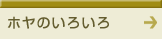 �z���ɂ���