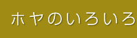 �z���̂��낢��