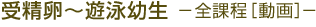 �󐸗��`�V�j�c�� �|�S�ے�[����]�|