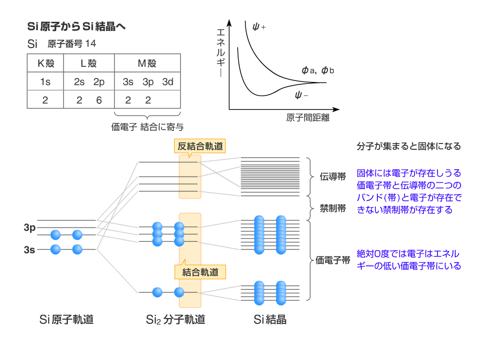 ���q�O���ƃo���h�\��